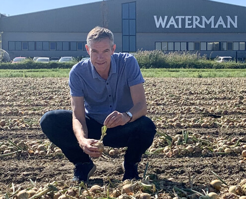Wim Waterman Zaaiuien Waterman Onions