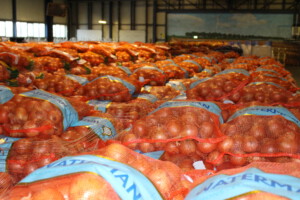 Waterman Onions 25 kilo zakken - Export kansen - markt update Wim Waterman December 2021